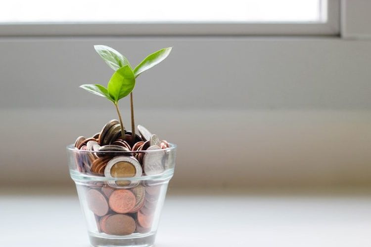 A small plant growing from a jar of coins